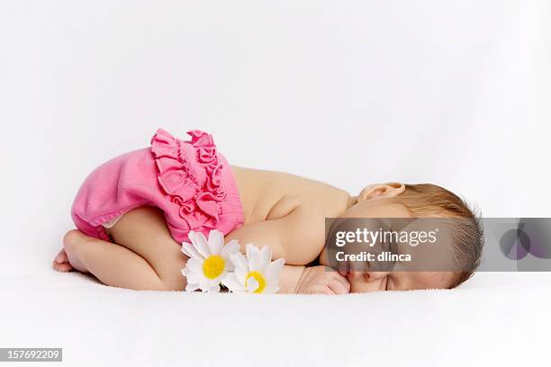 schlafen neugeborene baby mädchen mit gänseblümchen - ein weibliches baby allein stock-fotos und bilder