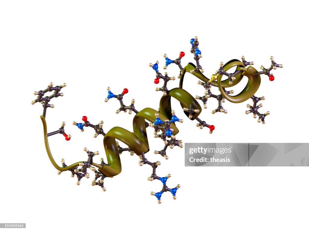 Molecule of Orexin