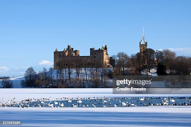 snowy linlithgow palace, west lothian, scotland. - linlithgow palace stock pictures, royalty-free photos & images