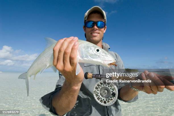 bonefish caught with flyrod - bone fish stock pictures, royalty-free photos & images