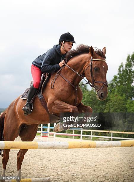 springreiten training, oslo, norwegen - equestrian show jumping stock-fotos und bilder