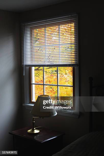 autumn leaves through the darkened bedroom window - skjutfönster bildbanksfoton och bilder