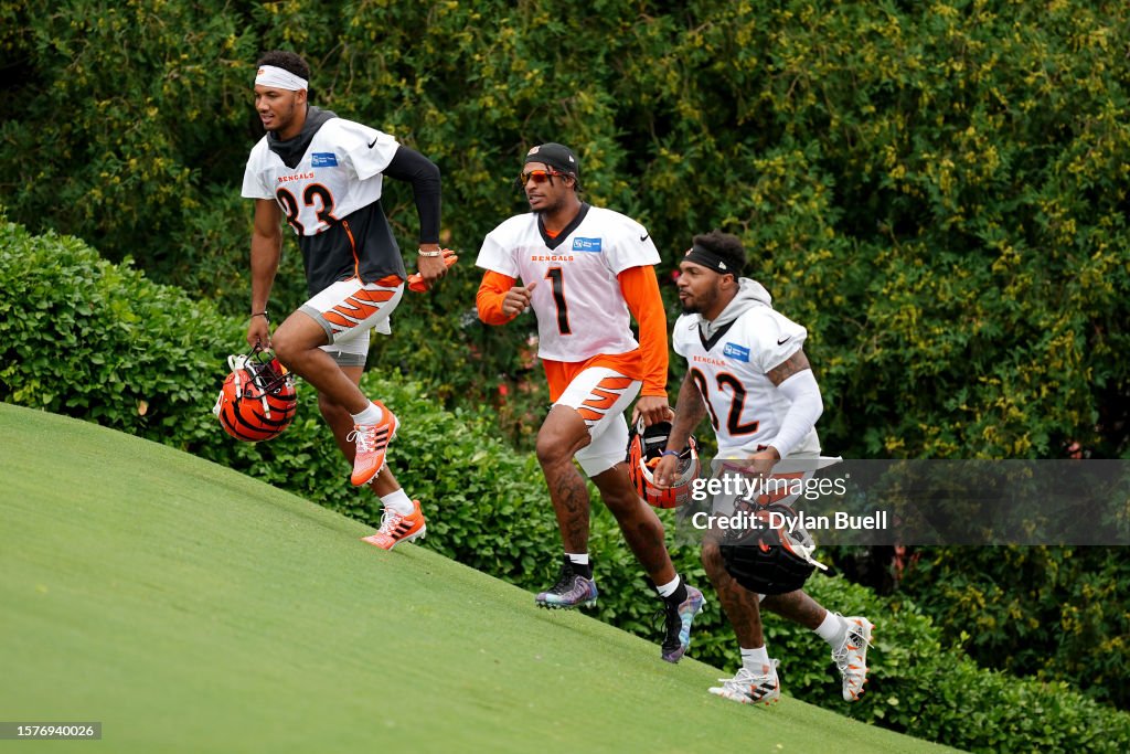 Cincinnati Bengals Training Camp