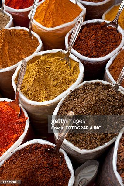 indian spices - tandoor oven stock pictures, royalty-free photos & images