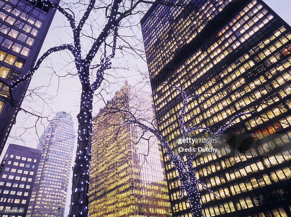 Office buildings with Christmas decoration in front.