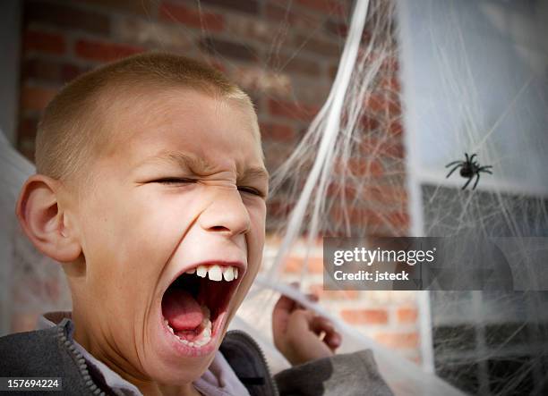 medo de aranhas - fobia imagens e fotografias de stock