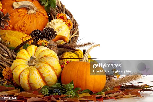 thanksgiving cornucopia with autumn vegetables on white. - hoorn des overvloeds stockfoto's en -beelden