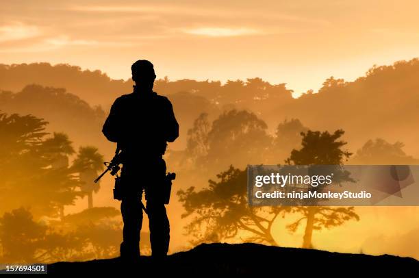 lone soldier overlooking tropical forest - battle scene stock pictures, royalty-free photos & images