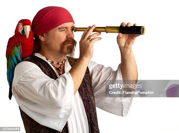 pirate with parrot searching using spyglass, white background. - parrot stock pictures, royalty-free photos & images