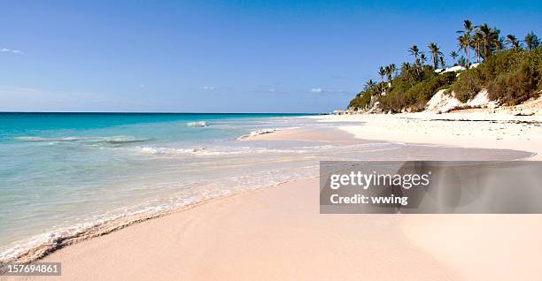ellenbogen strand, bermuda - bermuda beach stock-fotos und bilder