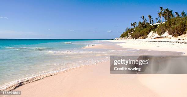 cotovelo praia, bermudas - bermuda beach imagens e fotografias de stock