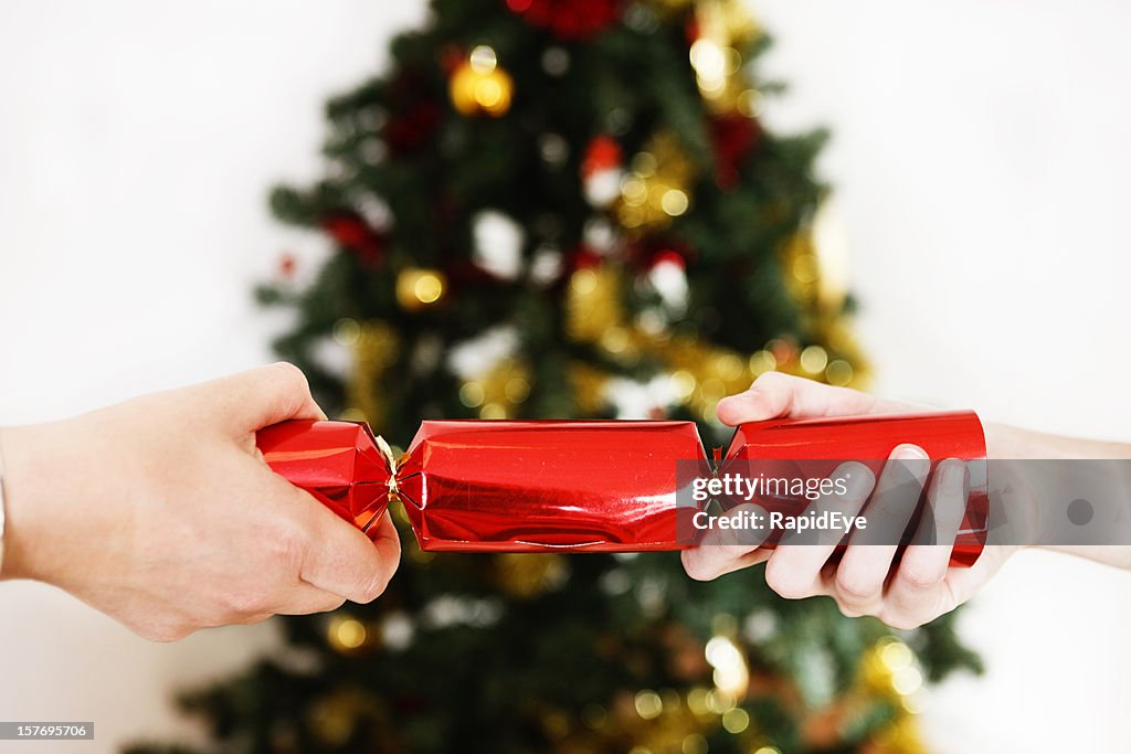 Zwei Hände machen eine helle Rote Christmas cracker
