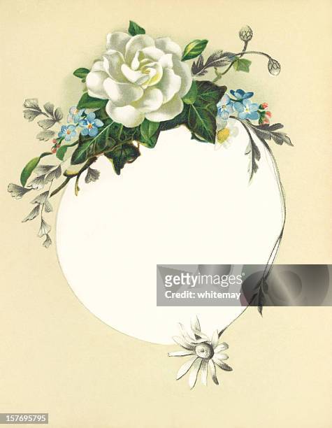 victorian flower illustration with white rose - white flower paper stock illustrations