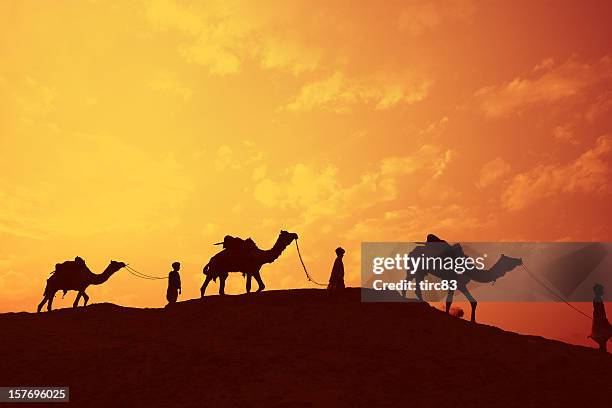three wise men christmas story - 3 wise men stock pictures, royalty-free photos & images