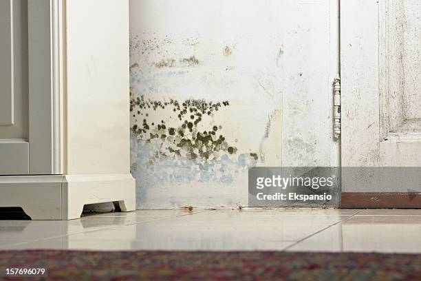 mold mould stains on damp wall and door behind cabinet - damaged stock pictures, royalty-free photos & images