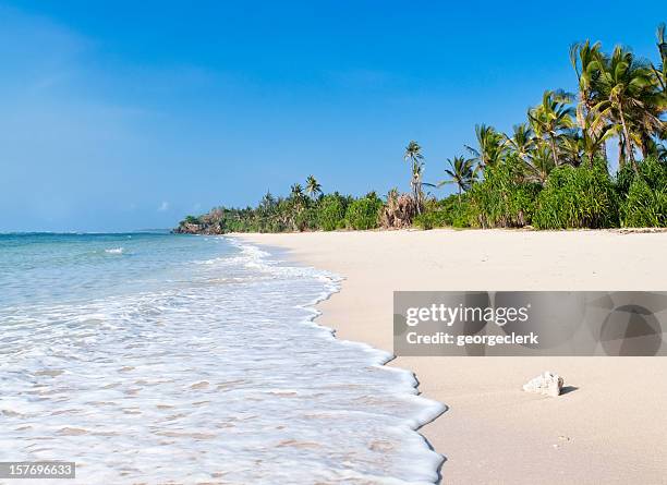 african beach - president of kenya stockfoto's en -beelden