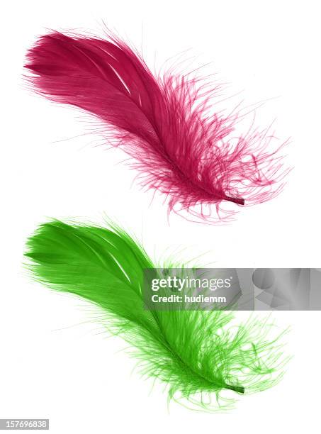 feather isolated on white background - angel pink stock pictures, royalty-free photos & images