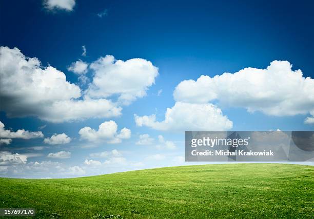 hilly meadow - rolling landscape stock pictures, royalty-free photos & images