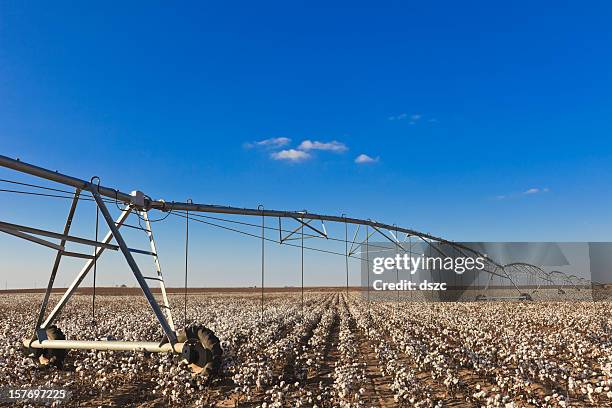 pivot circle irrigation equipment in cotton field - cotton field stock pictures, royalty-free photos & images