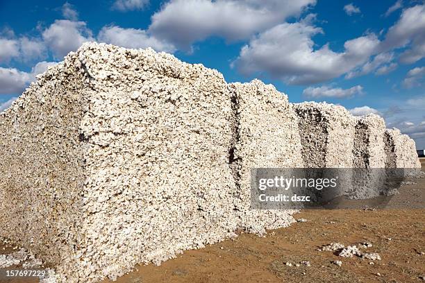 cotton modules in gin yard ready for ginning - cotton gin 個照片及圖片檔