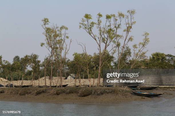 sundarbans elsewhere - khulna stock pictures, royalty-free photos & images