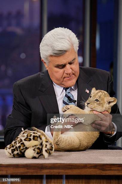 Episode 4366 -- Pictured: Host Jay Leno plays with a baby lion on December 5, 2012 --