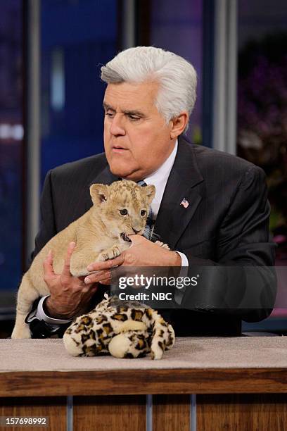 Episode 4366 -- Pictured: Host Jay Leno plays with a baby lion on December 5, 2012 --