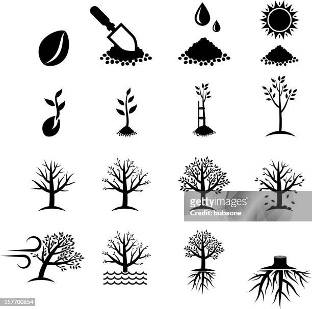 stockillustraties, clipart, cartoons en iconen met growing tree process black & white vector icon set - shovel