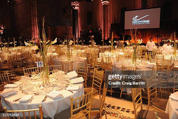 General atmosphere during the European School Of Economics Foundation Vision And Reality Awards on December 5, 2012 in New York City.