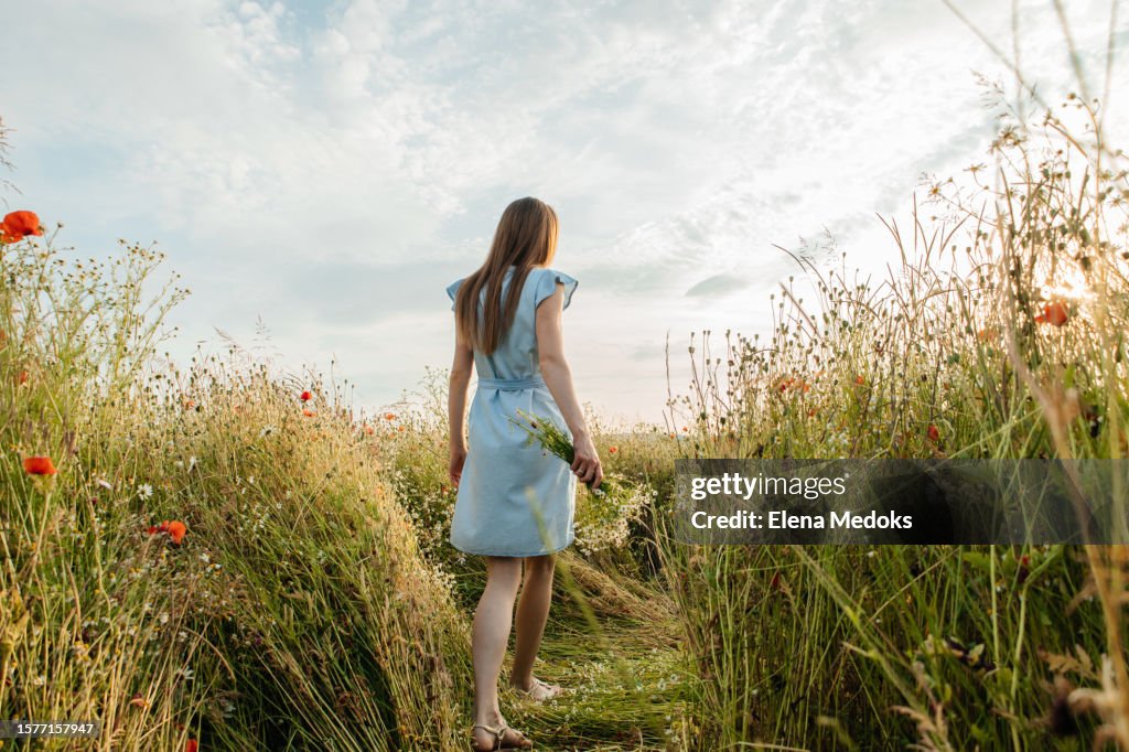 Back view of a beautiful young girl in a field of wildflowers at sunset. Unity and outdoor recreation