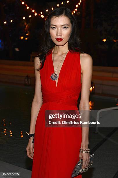 Xin Li attends a dinner and auction hosted by CHANEL to benefit The Henry Street Settlement at Soho Beach House on December 5, 2012 in Miami Beach,...