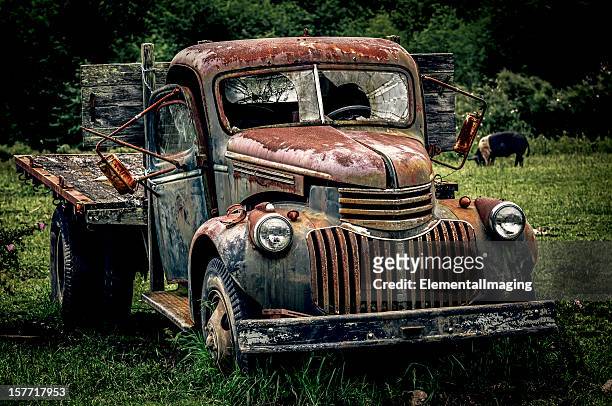 abandonded truck (with pig) - junkyard stock pictures, royalty-free photos & images