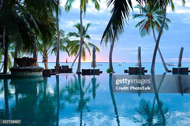 the swimming pool of summer resort - mauritius beach bildbanksfoton och bilder