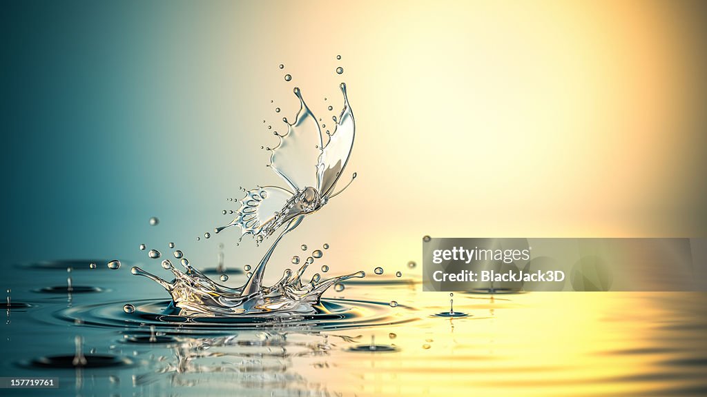 Birth Of Water Butterfly