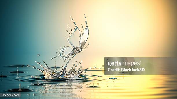 birth of water butterfly - tranquility stock pictures, royalty-free photos & images