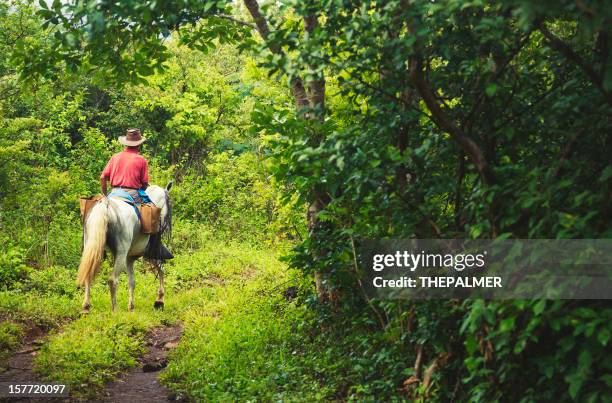 cowboy in costa rica - vaqueros stock pictures, royalty-free photos & images