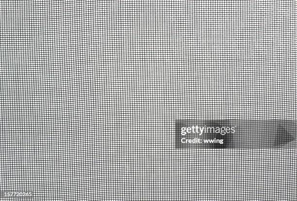 High Res Insect Screen Bitmap 445 Insect Screen Stock Photos, High-Res Pictures, and Images - Getty ...
