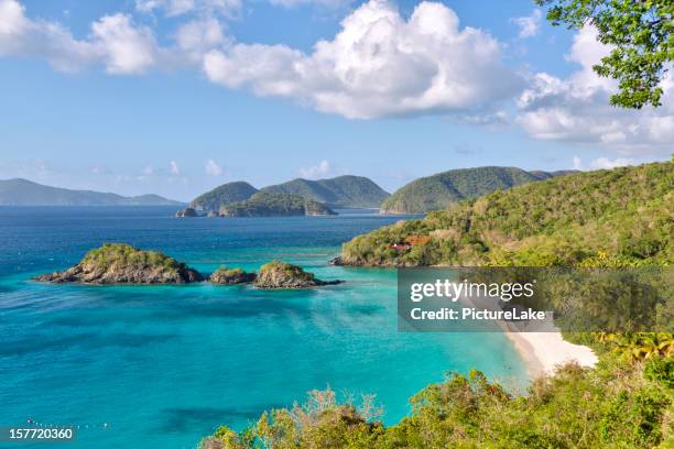 beautiful trunk bay, st john, usvi - st. john stock pictures, royalty-free photos & images