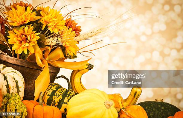 thanksgiving arrangement - fall bouquet stock pictures, royalty-free photos & images