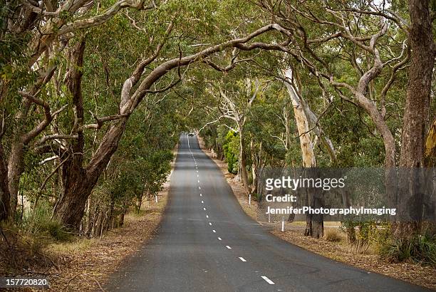 road trip through the gum trees - barossa stock pictures, royalty-free photos & images