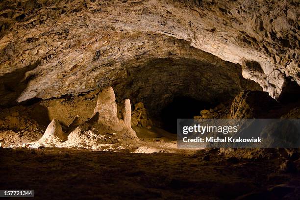 wierzchowska gorna höhlen mit stalaktiten und stalagmiten in wierzchowie, polen. - the cove stock-fotos und bilder