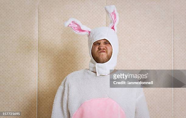 sneering bunny - easter bunny man stockfoto's en -beelden
