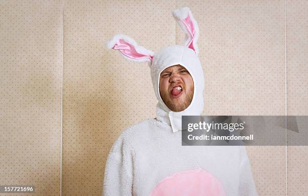 rude bunny - easter bunny man stockfoto's en -beelden