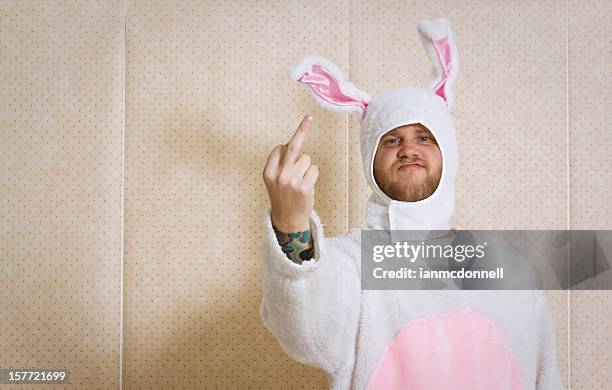 rude bunny - easter bunny man stock pictures, royalty-free photos & images