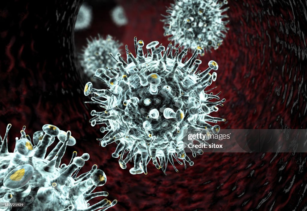 Influenza-like viruses passing through a vascular system