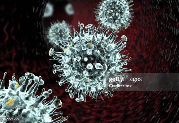 influenza-like viruses passing through a vascular system - model organism stock pictures, royalty-free photos & images