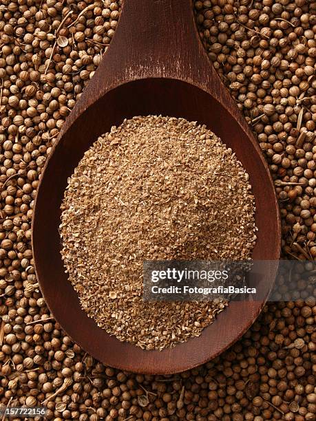 ground coriander seeds - coriander seed stock pictures, royalty-free photos & images
