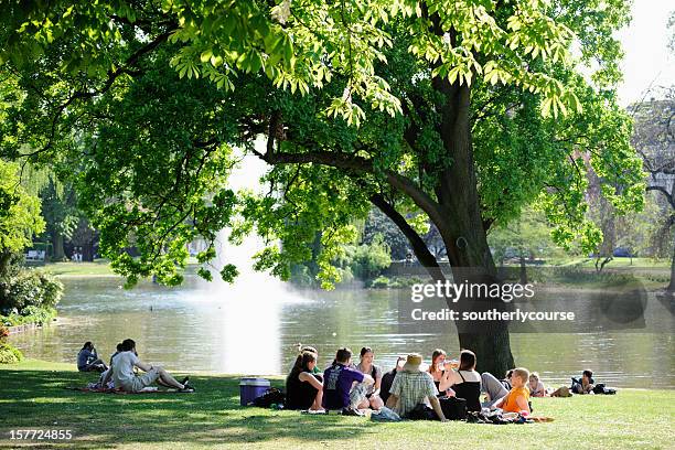 group of students in a wiesbaden park - wiesbaden stock pictures, royalty-free photos & images