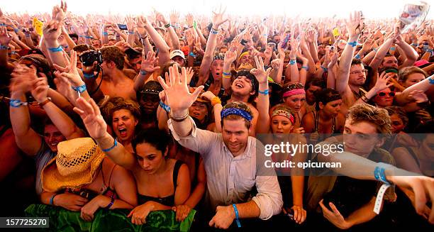 an ecstatic crowd of cheering fans at music festival - bonnaroo music and arts festival bildbanksfoton och bilder