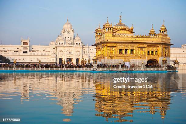 der goldene tempel in amritsar, indien - amritsar stock-fotos und bilder